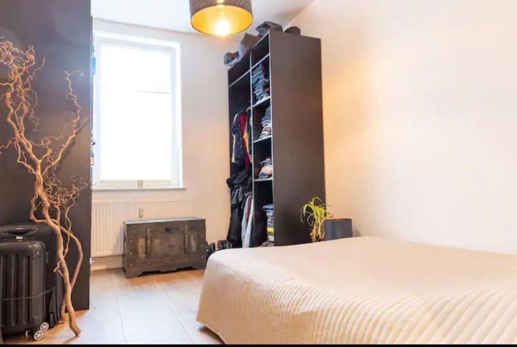 Design Apartment Im Zentrum Von Nienburg! Nienburg  Exteriör bild